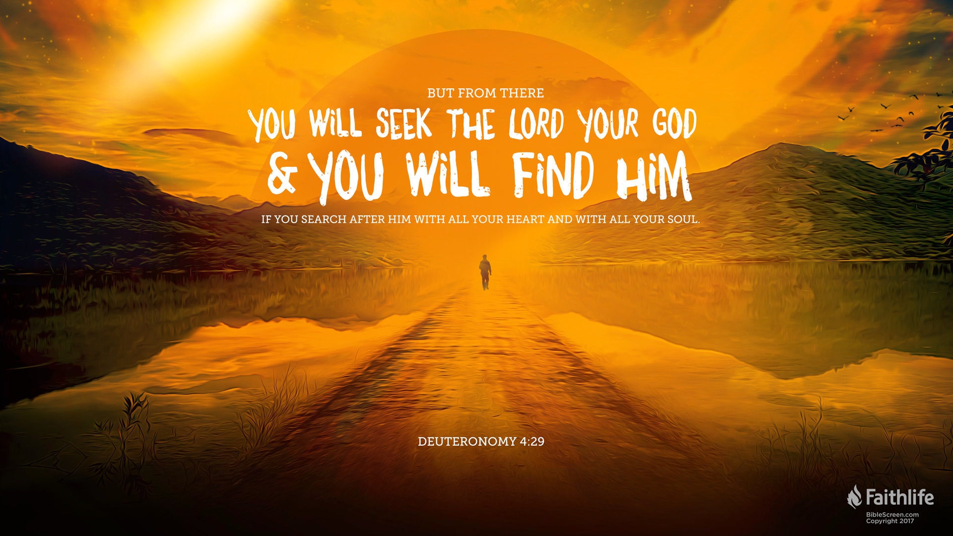 Search For Him